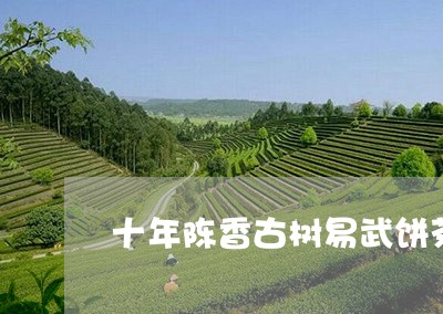 十年陈香古树易武饼茶/2023061139482