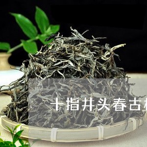 十指井头春古树普洱茶/2023092603849