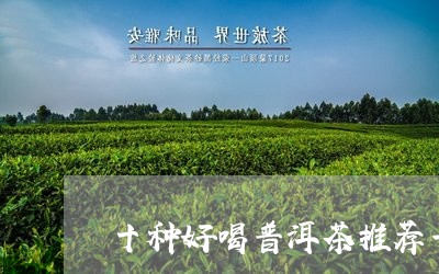 十种好喝普洱茶推荐一下/2023082446173