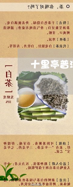 十里亭普洱茶价格多少/2023082900524