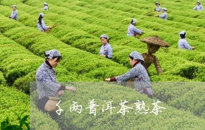 千两普洱茶熟茶/2023112584837