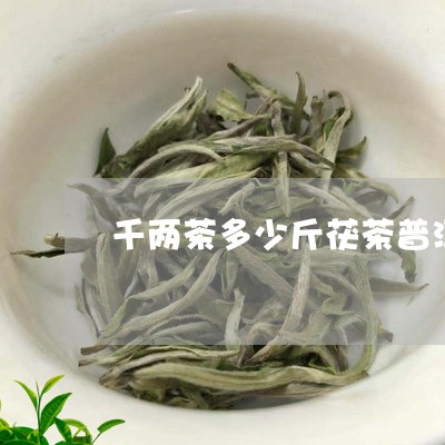 千两茶多少斤茯茶普洱的区别/2023052798692