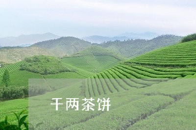 千两茶饼/2023121965489