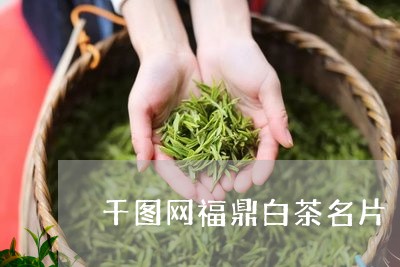 千图网福鼎白茶名片/2023081331705