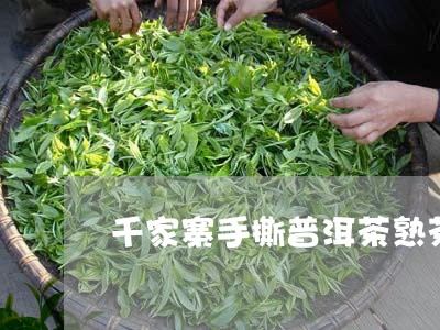 千家寨手撕普洱茶熟茶/2023093047147