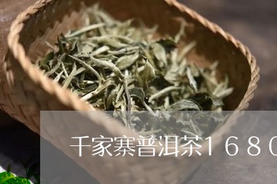 千家寨普洱茶1680茶叶/2023051074725