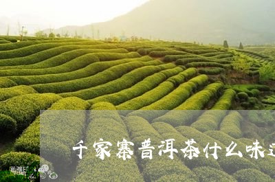 千家寨普洱茶什么味道/2023061672624