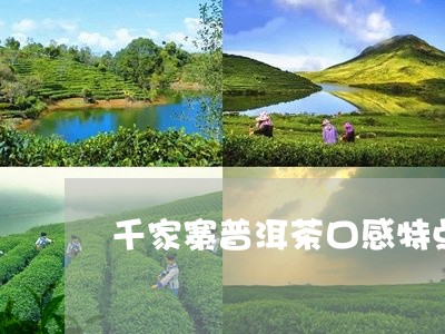 千家寨普洱茶口感特点/2023092725269