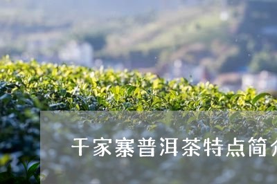 千家寨普洱茶特点简介/2023072463703