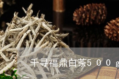 千寻福鼎白茶500g/2023120664263