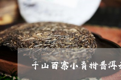 千山百寨小青柑普洱茶/2023092684826