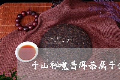 千山秘境普洱茶属于什么茶/2023112874928