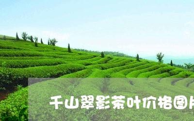 千山翠影茶叶价格图片/2023071696157