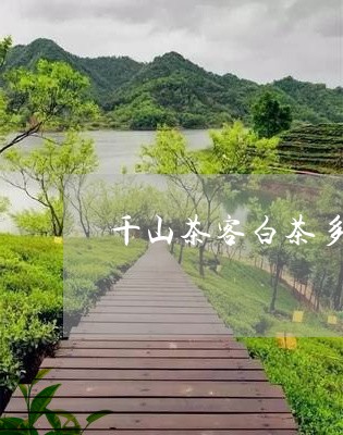 千山茶客白茶多少钱/2023121724948