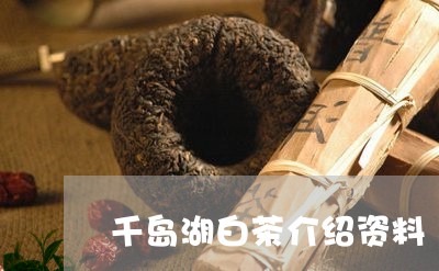 千岛湖白茶介绍资料/2023081345927