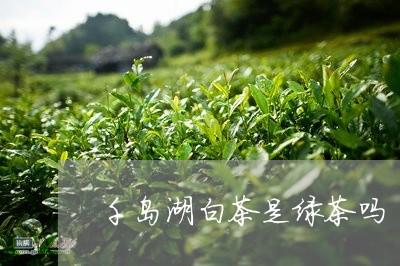 千岛湖白茶是绿茶吗/2023081330382