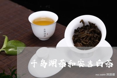 千岛湖茶和安吉白茶/2023121729580