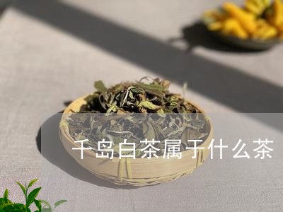 千岛白茶属于什么茶/2023121797351