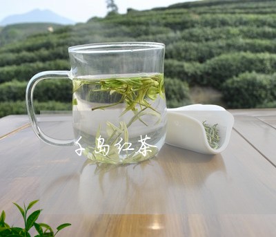 千岛红茶/2023090124937