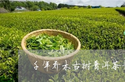 千年乔木古树普洱茶普洱茶的年份/2023060279605