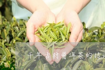 千年古村普洱茶的传说/2023072274050