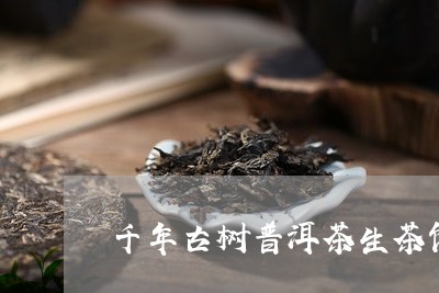 千年古树普洱茶生茶饼/2023061950473