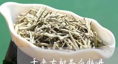 千年古树茶白牡丹/2023061585957