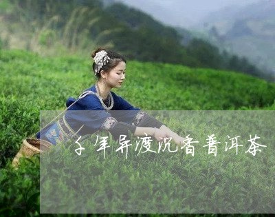 千年异渡沉香普洱茶/2023112754825