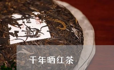 千年晒红茶/2023041715380