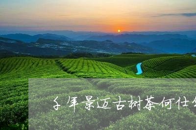 千年景迈古树茶何仕华/2023092180904