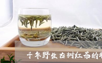 千年野生古树红茶的特点冰岛皇茶叶/2023060427161