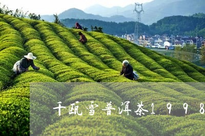 千瓯雪普洱茶1998熟茶/2023112997269