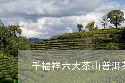 千福祥六大茶山普洱茶/2023072156358