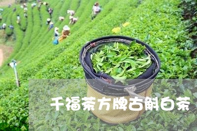 千福茶方牌古斛白茶/2023121750460