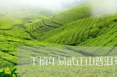 千禧年易武正山普洱茶/2023092548279