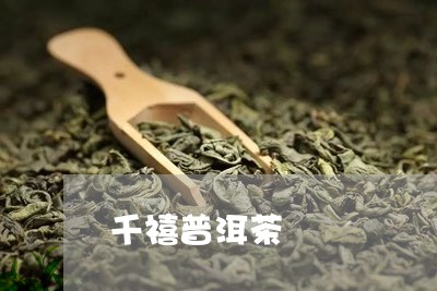 千禧普洱茶/2023090670793