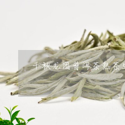 千秋龙团普洱茶熟茶500g/2023110227483