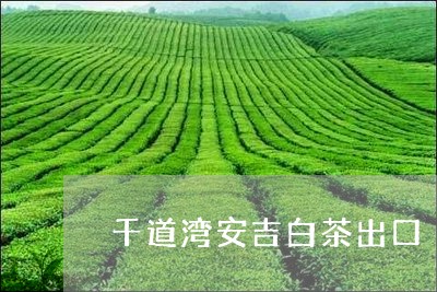 千道湾安吉白茶出口/2023081381926