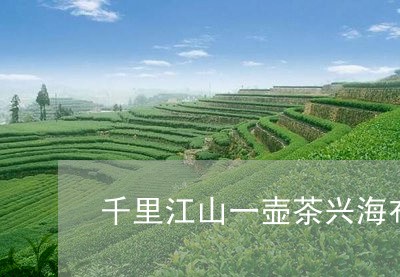 千里江山一壶茶兴海布朗山乔木茶/2023060276250