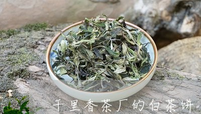 千里香茶厂的白茶饼/2023121743036