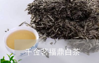 千金茗福鼎白茶/2023062858472