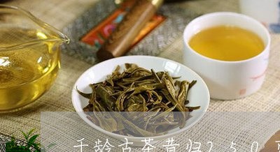 千龄古茶昔归250克/2023061024056