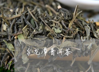 千龙潭普洱茶/2023042593761