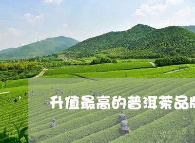 升值最高的普洱茶品牌排行/2023110551827