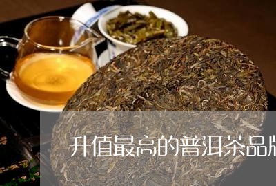 升值最高的普洱茶品牌有哪些/2023121539496