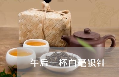 午后一杯白毫银针/2023090628168