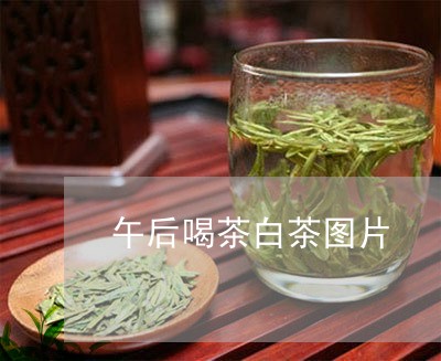 午后喝茶白茶图片/2023061563916