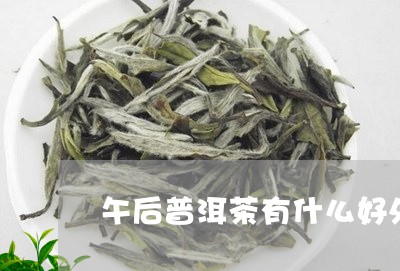 午后普洱茶有什么好处/2023080234957