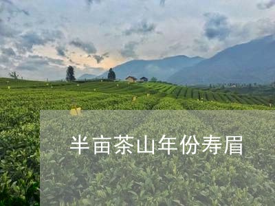 半亩茶山年份寿眉/2023090897250