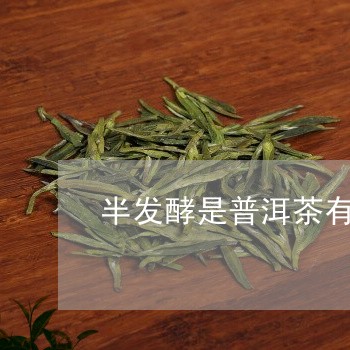 半发酵是普洱茶有哪些/2023072412826